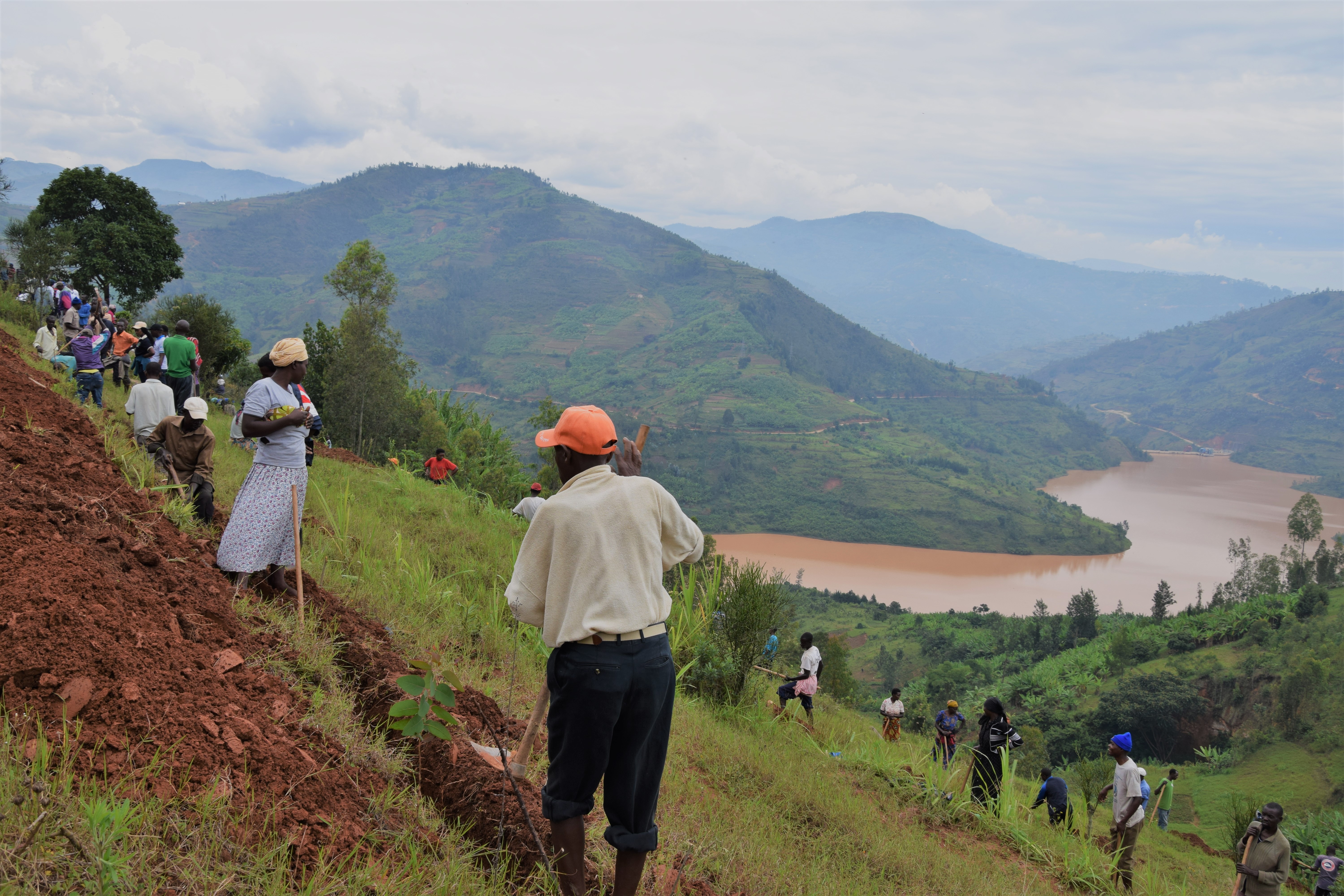 Nyabarongo dam background