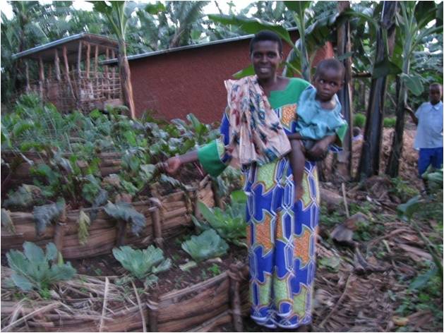 Kitchen garden